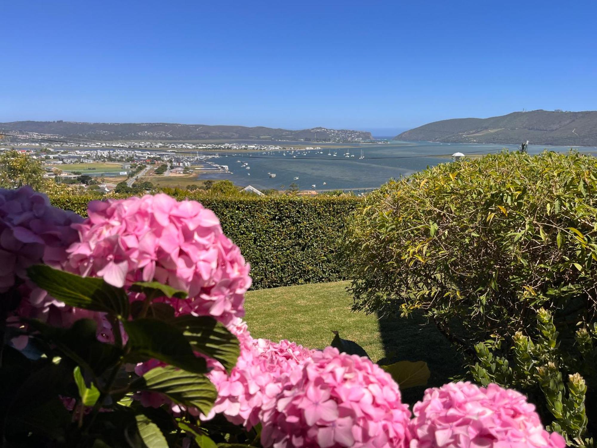 De View Bed & Breakfast Knysna Bagian luar foto
